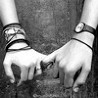 -   .         / VIP